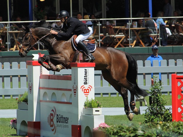 不諱所帶來 不諱所帶來