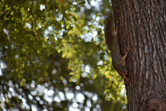 這樣的表現 這樣的表現