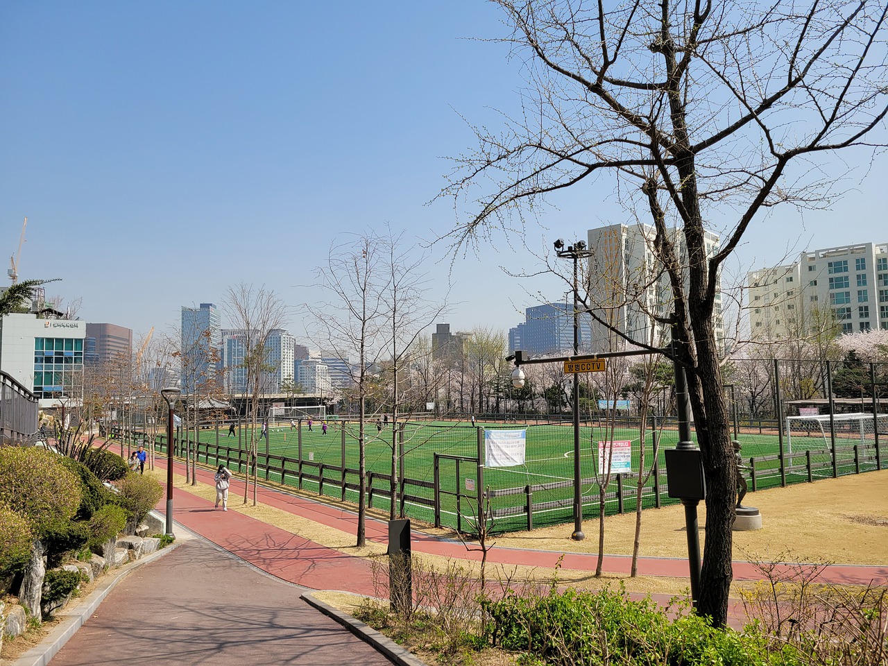 熟虑后的结 熟虑后的结