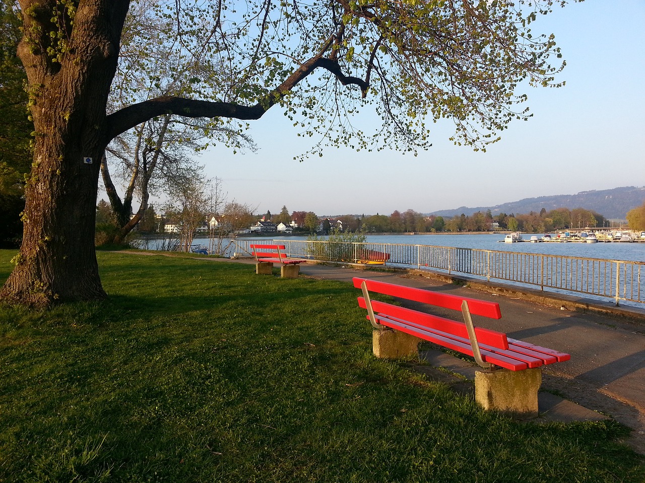 曾经在巴西 曾经在巴西