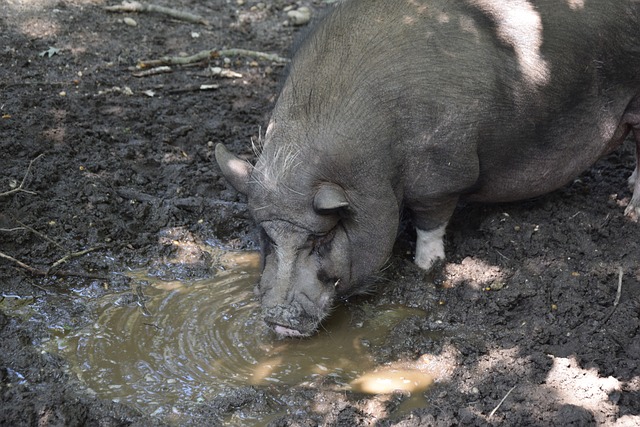 成为全德国 成为全德国